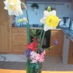 Mes jonquilles... sans PQ... Avec les fleurs d'Hanaé - 19 mars 2017