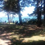 Notre premier Baiser ici - au fond, aux pieds des arbres les plus à gauche - le 7 février 2017 vers 13h30