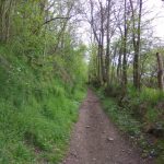 12h30 - alentours de la Petite Source