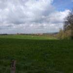 12h30 - alentours de la Petite Source