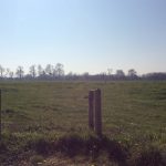 12h30 - alentours de la Petite Source