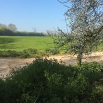 12h30 - Shooting photos de la Petite Source par Gaëlle - Champ dominant notre villégiature